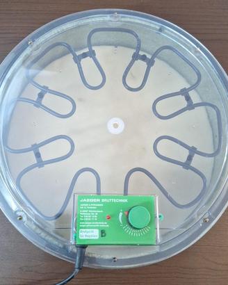 INCUBATRICE PER TARTARUGHE