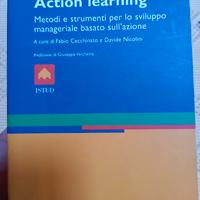 Action learning. Sviluppo manager azione