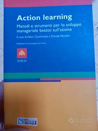 Action learning. Sviluppo manager azione