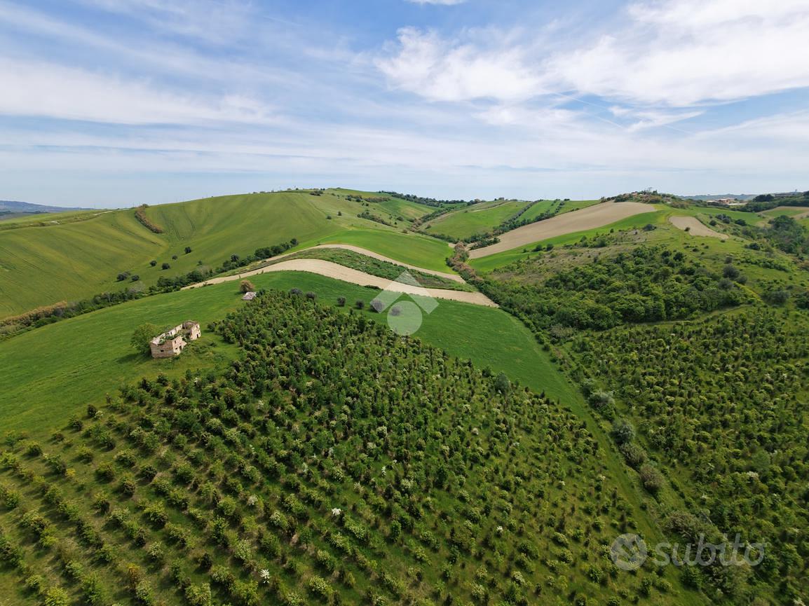 TER. AGRICOLO A SANT'OMERO - Altro