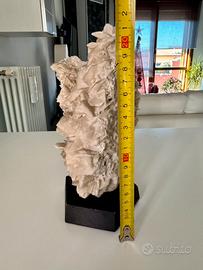 Pietra da collezione rosa del deserto