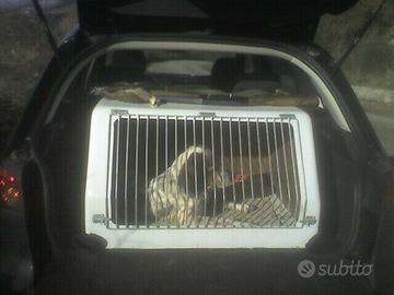 Trasportino auto cani gatti gabbia animali caccia