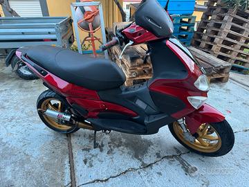 Marmitta piaggio pinasco