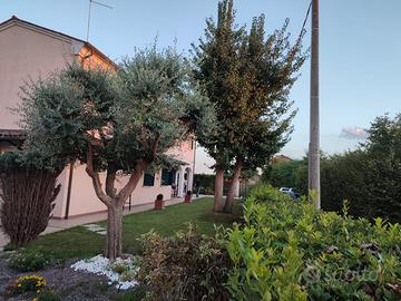 Mogliano frazione rustico