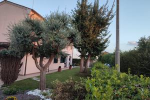 Mogliano frazione rustico