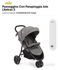 Paseggino