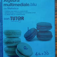 MATEMATICA MULTIMEDIALE BLU, STATISTICA, VOLUME 1