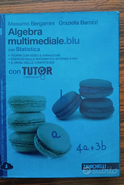 MATEMATICA MULTIMEDIALE BLU, STATISTICA, VOLUME 1