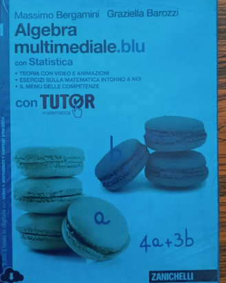 MATEMATICA MULTIMEDIALE BLU, STATISTICA, VOLUME 1