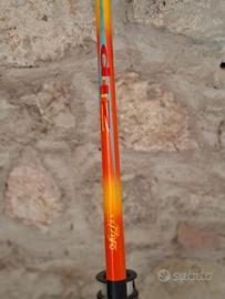 Canna da pesca con  mulinello e portatrote e canne