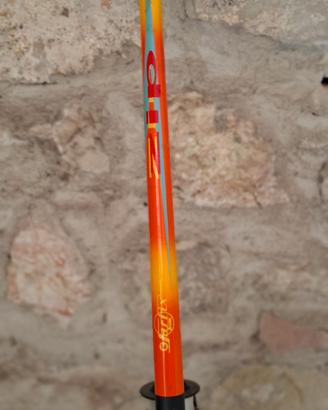 Canna da pesca con  mulinello e portatrote e canne