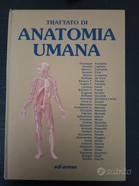 Trattato di anatomia umana. Anastasi. Volume 3