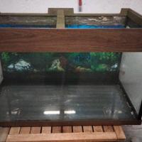 Vasca acquario 100l