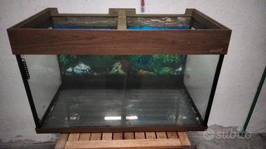 Vasca acquario 100l