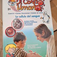raccolta "esplorando il corpo umano "