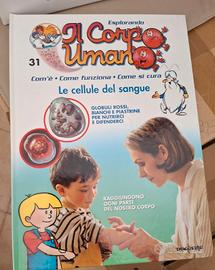 raccolta "esplorando il corpo umano "