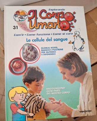raccolta "esplorando il corpo umano "