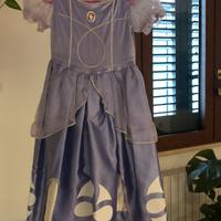 Vestito di Carnevale Sofia la principessa