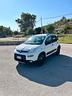 fiat-panda-cross-1-3-mjt-95-cv-s-s-4x4