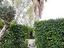Immagine 6