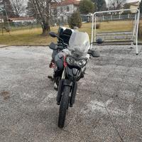 Triumph tiger xc 800