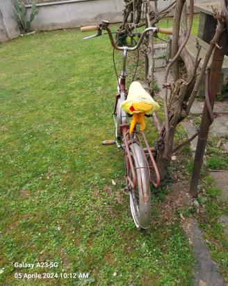 Bicicletta