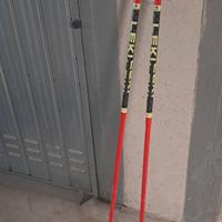 Bastoncini sci