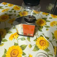 Macina caffe quick mill