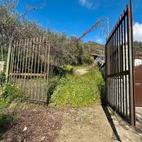 Terreno con rudere a gaggi