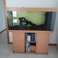 Acquario Juwel Rio 300