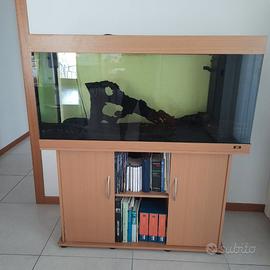 Acquario Juwel Rio 300