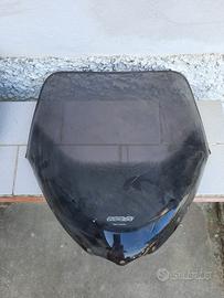 paravento x scooter