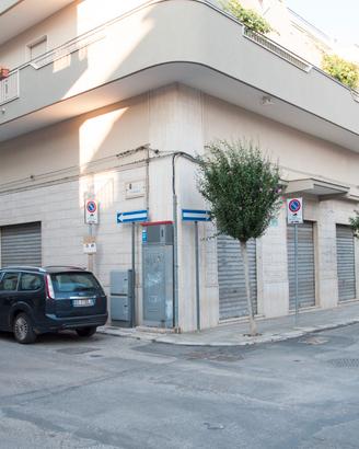 Locale commerciale di ampia metratura