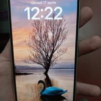 iPhone 15 Plus