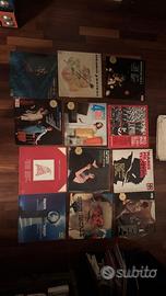 Lotto dischi vinile 33 giri classica e altro