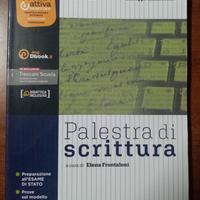 Palestra di scrittura - ISBN: 9788809912250