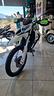 cfmoto-dual-250