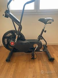 Airbike Schwinn AD6