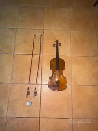 Violino professionale incluso di accessori