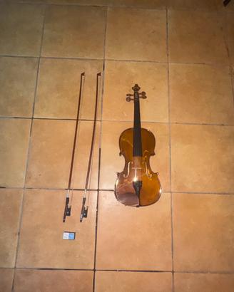 Violino professionale incluso di accessori