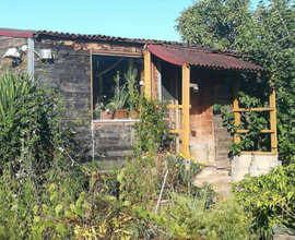 Terreno agricolo mq 5368 + casa in legno