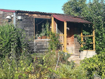 Terreno agricolo mq 5368 + casa in legno