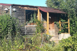 Terreno agricolo mq 5368 + casa in legno