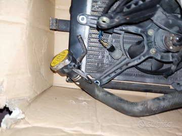 Radiatore xciting Kymco 300