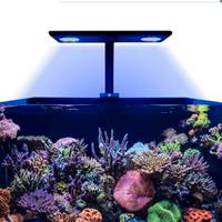 plafoniera led reef acquario 