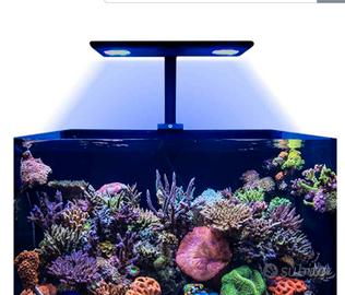 plafoniera led reef acquario 