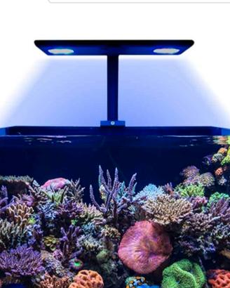plafoniera led reef acquario 