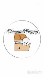 Diamond puppy