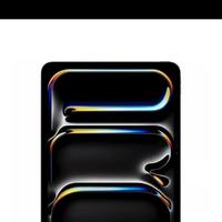 Ipad PRO 11" M4 con 256 gb BATTERIA 100%