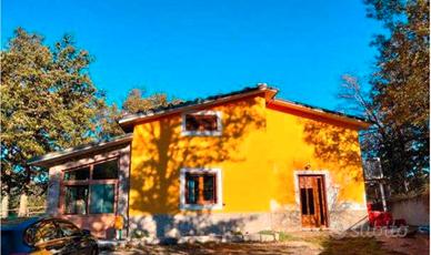 RGE 14/2023 Trib Campobasso